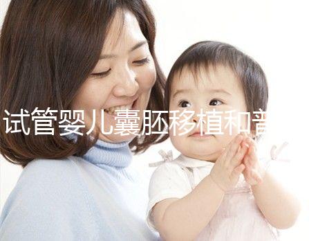 試管嬰兒囊胚移植和普通胚胎移植到底有什么不同?