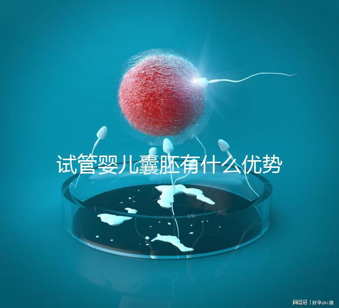 試管嬰兒囊胚有什么優勢嗎？