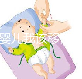 試管嬰兒我該移植鮮胚,囊胚還是凍胚呢?