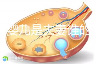 試管嬰兒是夫妻誰的問題(試管嬰兒是夫妻的嗎)