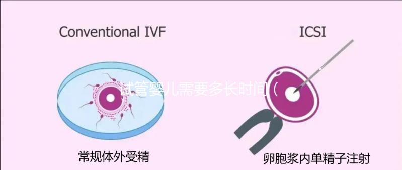 試管嬰兒需要多長時(shí)間(試管嬰兒需要多長時(shí)間完成)