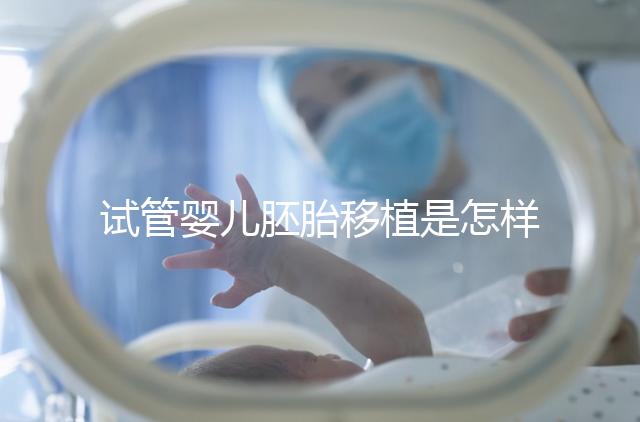 試管嬰兒胚胎移植是怎樣的過程？