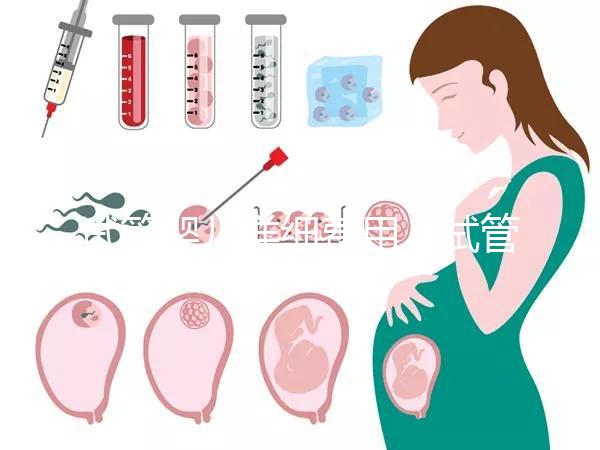 試管嬰兒詳細(xì)費用(試管嬰兒詳細(xì)費用多少)