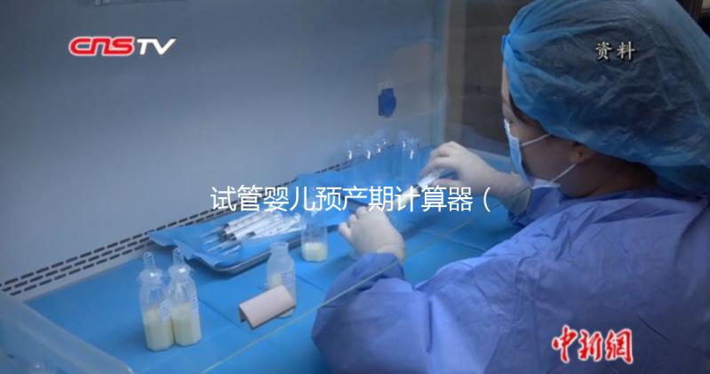 試管嬰兒預(yù)產(chǎn)期計算器(試管嬰兒預(yù)產(chǎn)期計算器查詢)