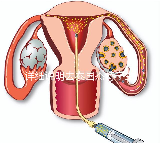 詳細(xì)說明去泰國(guó)杰特寧生殖中心做第三代試管技術(shù)的五大優(yōu)勢(shì)，幫助你克服生育問題，快速隱藏！