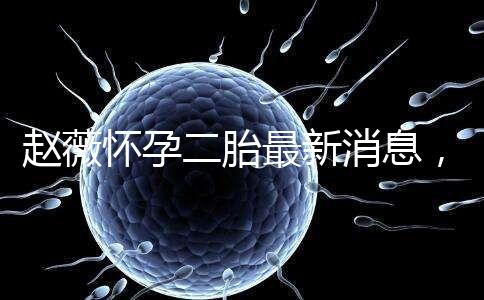 趙薇懷孕二胎最新消息，大肚子照公布網友紛紛送祝福