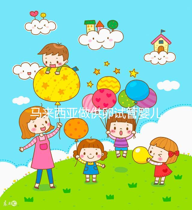 馬來西亞做供卵試管嬰兒，當地政府法律支持它的合法性么？