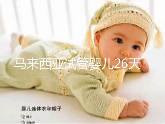 馬來西亞試管嬰兒26天行程全紀(jì)錄