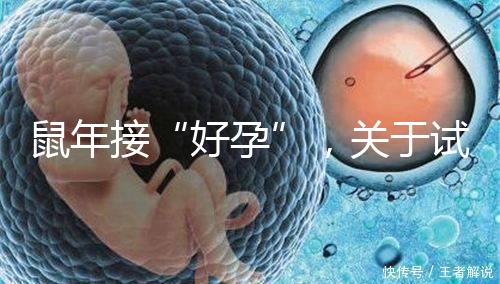 鼠年接“好孕”，關于試管嬰兒取卵的那些事兒！