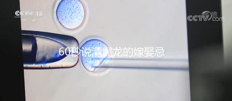 60秒說(shuō)清屬龍的嫁娶忌的三個(gè)屬相,大師:十婚九不幸