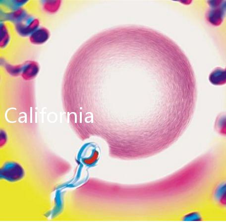 California Cryobank,加州精子銀行實(shí)用指南