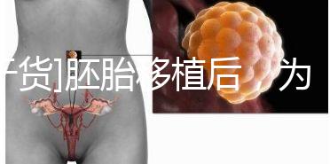 [干貨]胚胎移植后，為什么醫生告訴你不要提前懷孕？