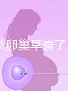 31歲就卵巢早衰了，在河北霸州哪里能做供卵試管嬰兒？