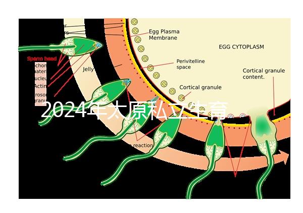 2024年太原私立生育醫(yī)院排名公開(kāi)，上榜機(jī)構(gòu)分娩條件好