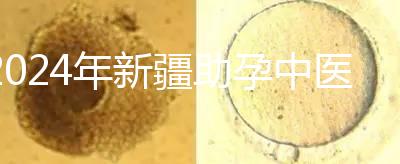 2024年新疆助孕中醫數不勝數，頂尖專家技能水平高