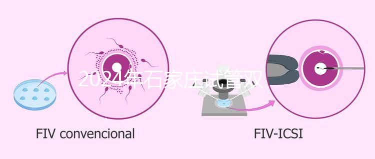 2024年石家莊試管雙胞胎醫(yī)院排名，不要錯(cuò)過新華、長(zhǎng)安