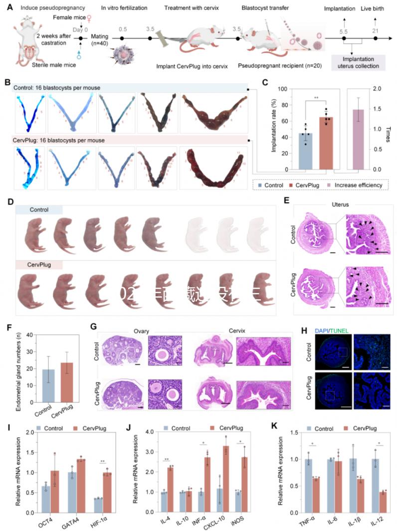 2024年西藏還沒有三代試管嬰兒醫(yī)院，那該去哪里做三代呢？