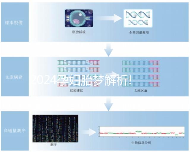 2024孕婦胎夢解析!盤點那些生男孩的胎夢