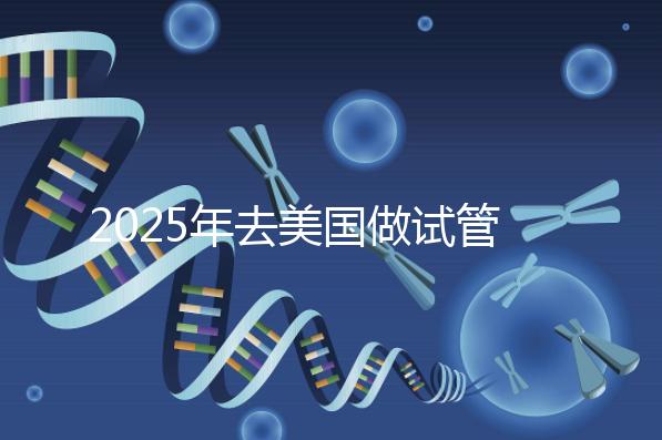2025年去美國(guó)做試管嬰兒的攻略：從醫(yī)院選擇到成功率分析