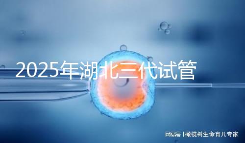 2025年湖北三代試管嬰兒費用明細一覽 附價格清單！