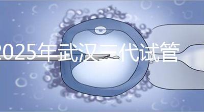2025年武漢三代試管助孕比較新價格:8萬至15萬,費(fèi)用明細(xì)公開!