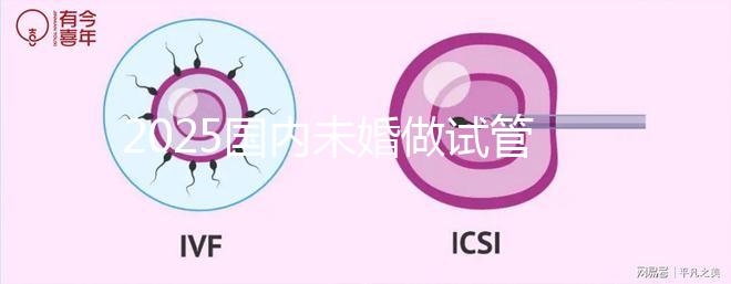 2025國內未婚做試管嬰兒的機構都是哪些？