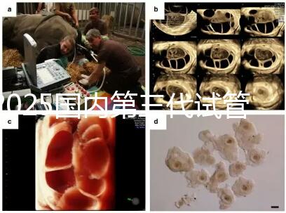 2025國內(nèi)第三代試管嬰兒醫(yī)院排名前十強公布(附地址)