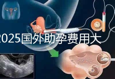 2025國外助孕費(fèi)用大公開:單身人士費(fèi)用對(duì)比與機(jī)構(gòu)推薦