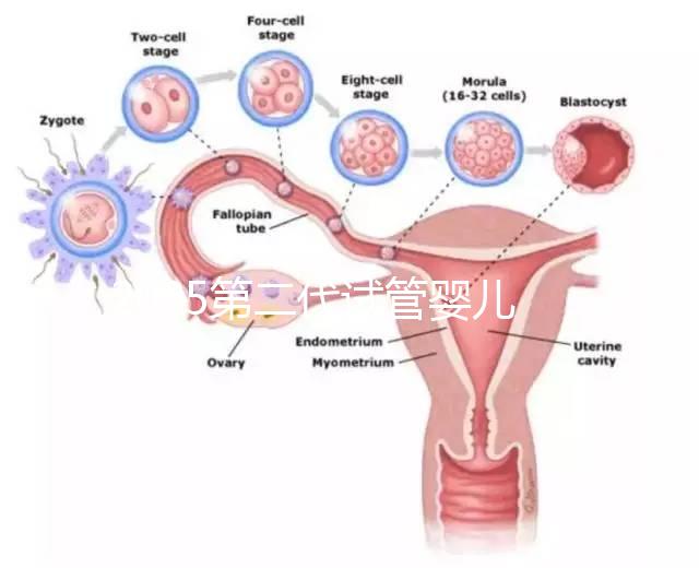 2025第二代試管嬰兒全流程解析：從檢查到移植各階段費用數(shù)據(jù)揭秘