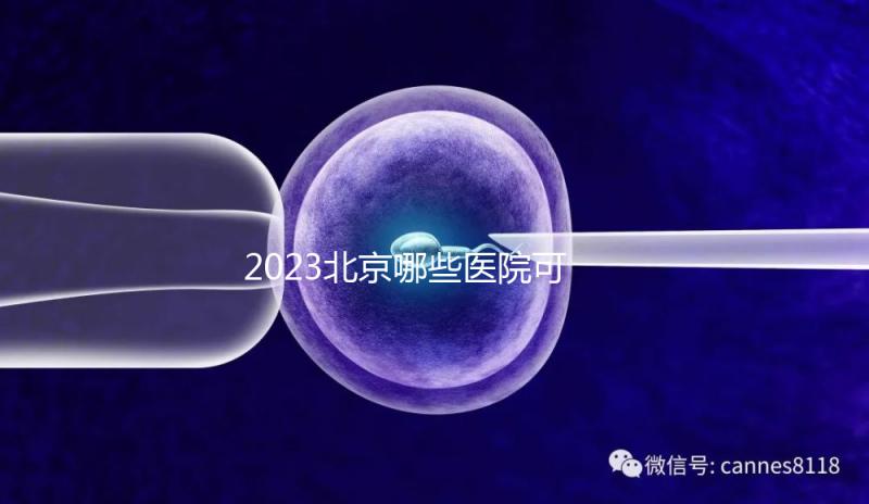 2023北京哪些醫(yī)院可以借卵生子？附北京供卵不排隊(duì)醫(yī)院名單(含排隊(duì)時(shí)長)