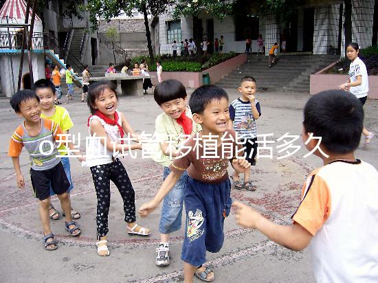 o型血試管移植能活多久？壽命長的關(guān)鍵在于這些點